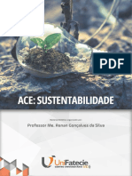 ACE - Sustentabilidade-1