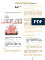 Clase 18 Elementos Mecanicos en PPR