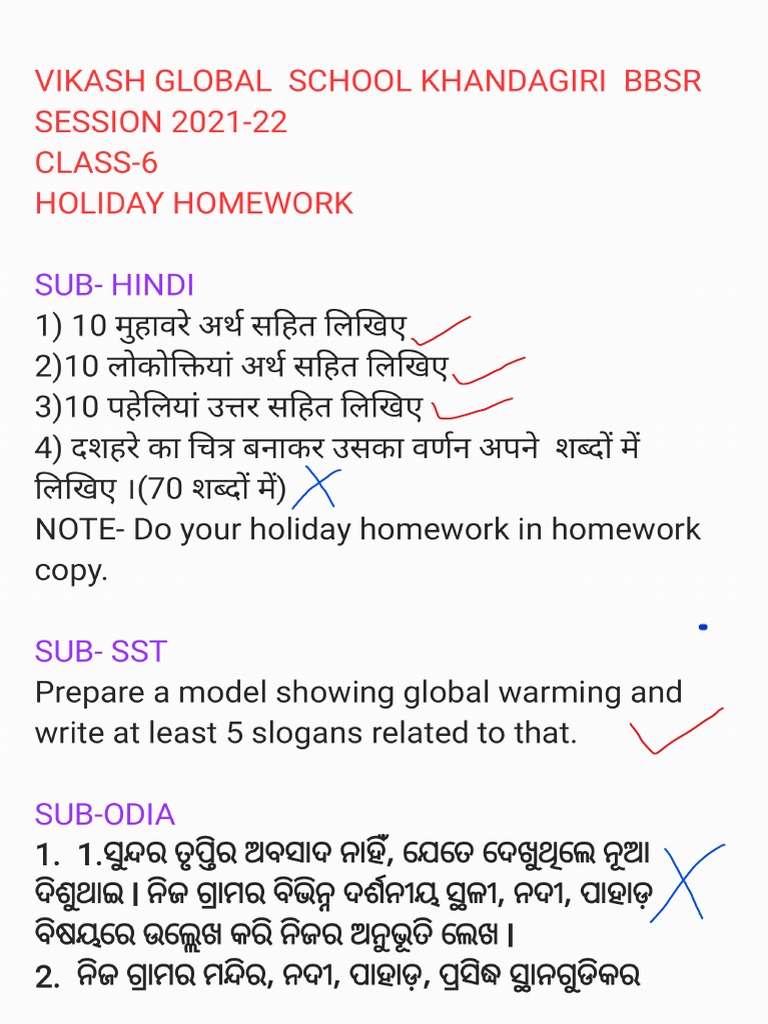 Holiday Homework | PDF