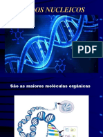 Ácidos Nucleicos - Conceitos
