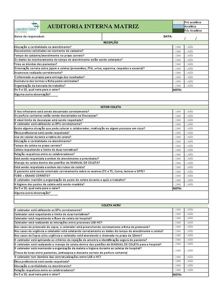 Auditoria Interna Matriz | PDF