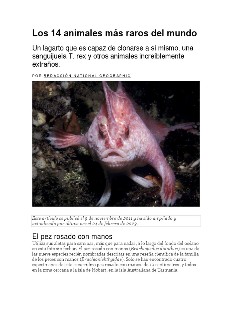 14 Animales Más Raros del Mundo | PDF | Organismos