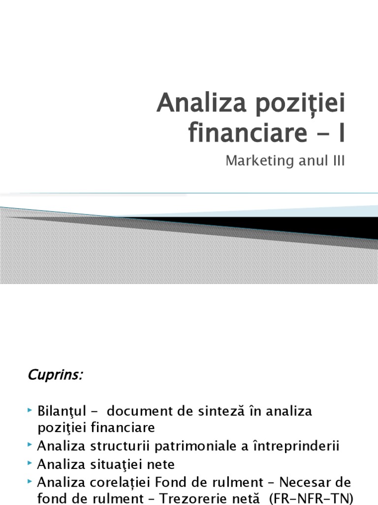 Curs 10 Analiza Poziției Financiare I PDF