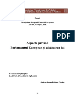 Dreptul Uniunii Europene - Lumină Ruben Cristian