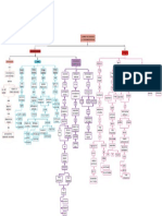 Mapa Conceptual Lateralidad