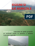 Regiuni Si Peisaje Agricole