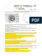 CH 8 Transport in Plants Worksheet 2 Answer