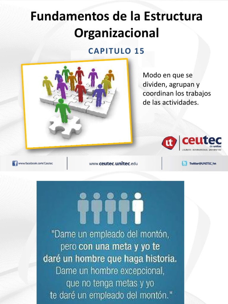Capitulo 15 Fundamentos de La Estructura Organizacional | PDF | Toma de ...