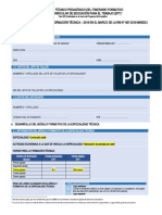 Formato Informe Tcnico Pedaggico SFT - 28.06