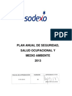 Plan Anual HSE 2013