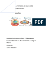 Cuadro Sinóptico