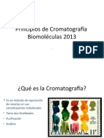 Cromatografia Biomoleculas