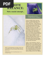 Download WhiteBalancebyMichaelLustbaderSN6455684 doc pdf