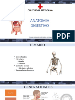 Anatomia de Digestivo