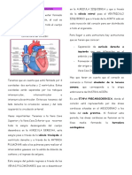 S Cardiovascular