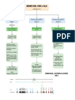 Genes de HLA o MHC