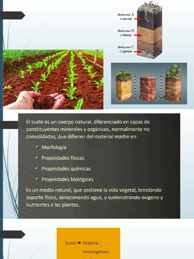 Factores y procesos en la génesis del suelo | PDF | Suelo | Roca (geología)