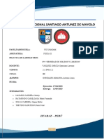 Practica de Laboratorio #04 Física Ii Densidad de Liquidos y Solidos 2023