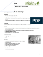 Extração ADN Morango Laboratório Biologia