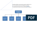 Tarea 8 Anatomía