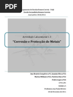 AL 1.3 - Corrosão e protecção de metais