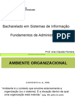 Ambiente Organizacional