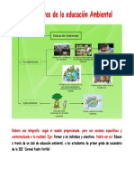 Infografia de Fundamentos de La Educación Ambiental