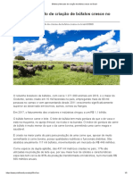 Crescimento do mercado de búfalos no Brasil