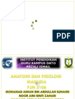 Presentation Anatomi Dan Fisiologi Copy