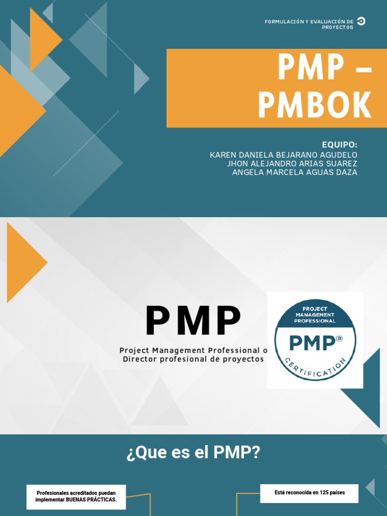 Formulacion de Proyectos | PDF | Gestión de proyectos | Profesional en ...