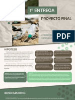 Primera Entrega Proyecto Final