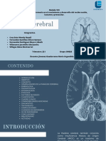 Paralisis Cerebral