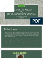 Enfermedades Del Sistema Renal