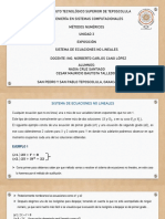 Sistema de Ecuaciones No Lineales