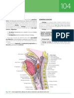 Anatomia Humana T2 - Latarjet-Ruiz Liard