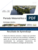 Desarrollo embrionario periodo metamórfico