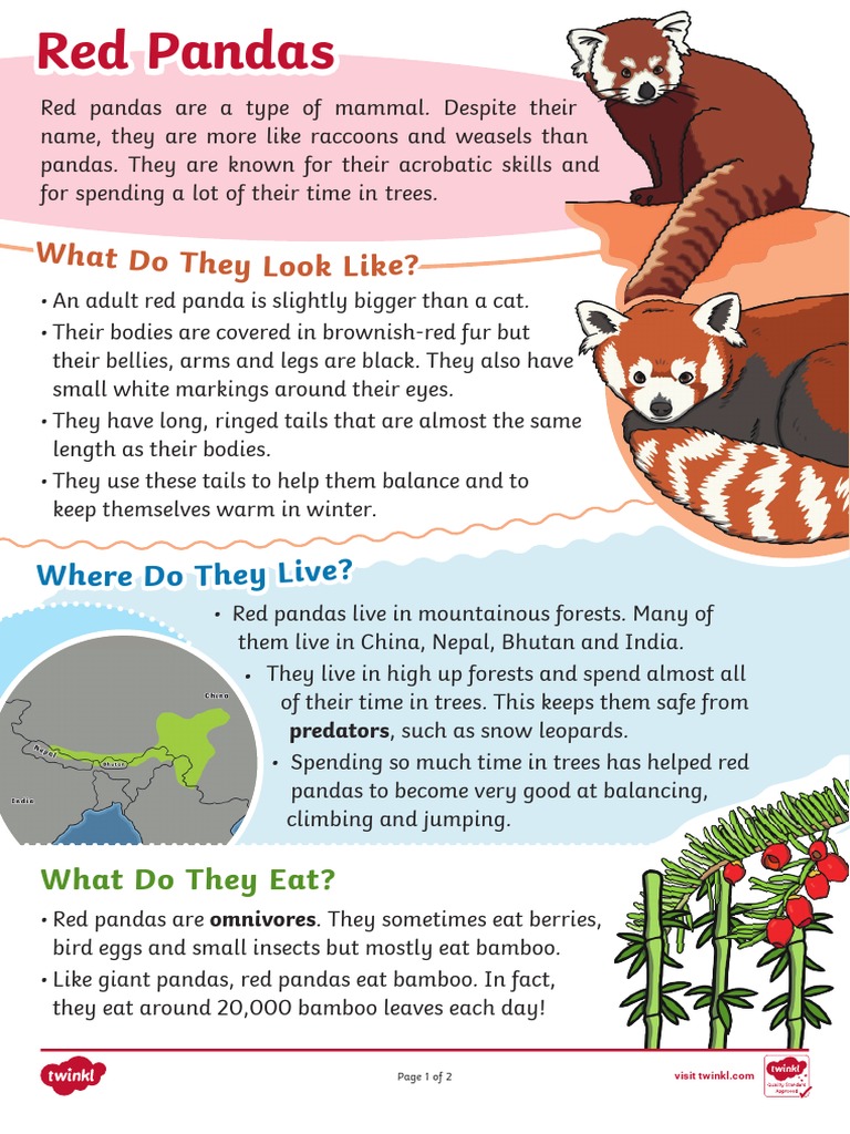 Red Panda Fact File | PDF