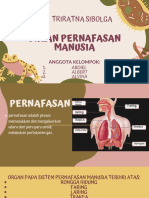 Organ Pernafasan