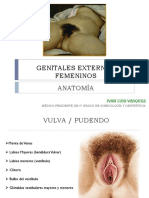 Genitales Externos - Ilv