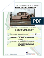 Ems Informe San Borja 2