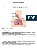 Sistema Respiratório