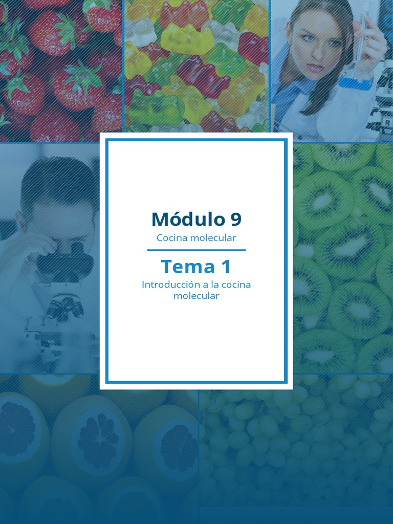 Diseño de Sabores M9T1 | PDF