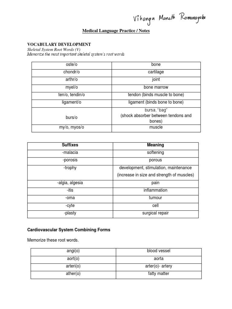 Medical+language+practice+ Notes | PDF | Heart | Vein