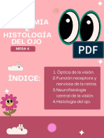 Anatomia e Histologia Del Ojo