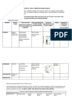 Cuadro Comparativo Reino Plantae