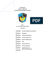 Laporan PBL KLP 3b1 Update