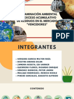 Contaminación Ambiental Por Exceso de