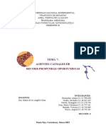 Guia Micro. Tema 7 Micosis Oportunistas