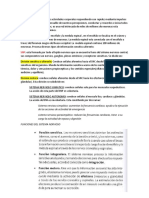 Sistema Nervioso Regula Las Actividades Corporales Respondiendo Con Rapidez Mediante Impulsos Nerviosos