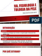 AULA 01 Anatomia, Fisiologia e Histologia Da Pele